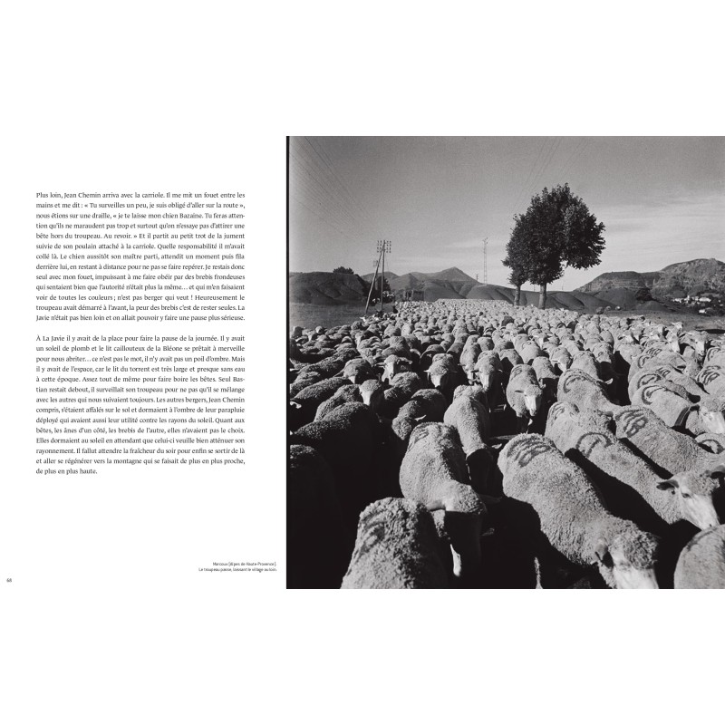 La Transhumance de Marcel Coen©Arnaud Bizalion Éditeur