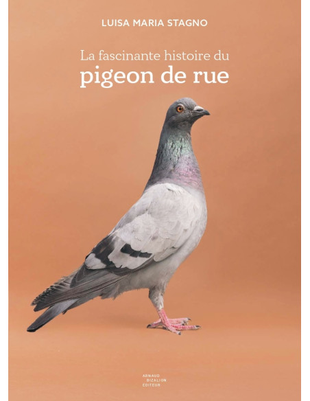 La Fascinante Histoire du Pigeon de Rue_Luisa Maria Alvarez Stagno©Arnaud Bizalion Éditeur