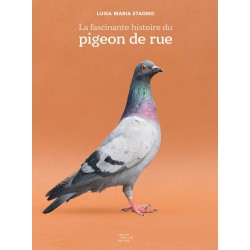 La Fascinante Histoire du Pigeon de Rue_Luisa Maria Stagno©Arnaud Bizalion Éditeur