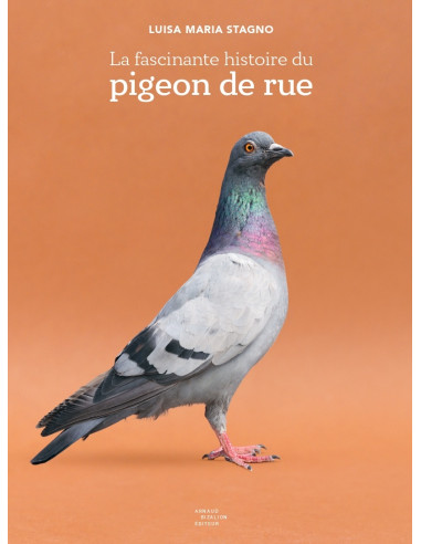 La Fascinante Histoire du Pigeon de Rue_Luisa Maria Stagno©Arnaud Bizalion Éditeur