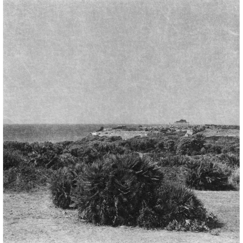 sélinonte002©Raymond Escomel_Arnaud Bizalion