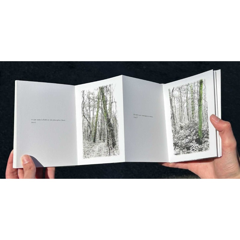 La promenade de Rilke, Brenda Hoffman