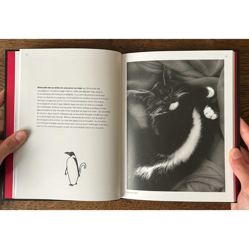 Photomatous, photographies Pierre-Jean Amar, textes et dessins Xavier Mauduit