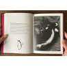 Photomatous, photographies Pierre-Jean Amar, textes et dessins Xavier Mauduit