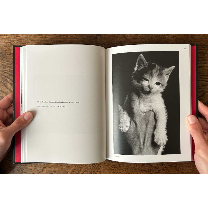 Photomatous, photographies Pierre-Jean Amar, textes et dessins Xavier Mauduit