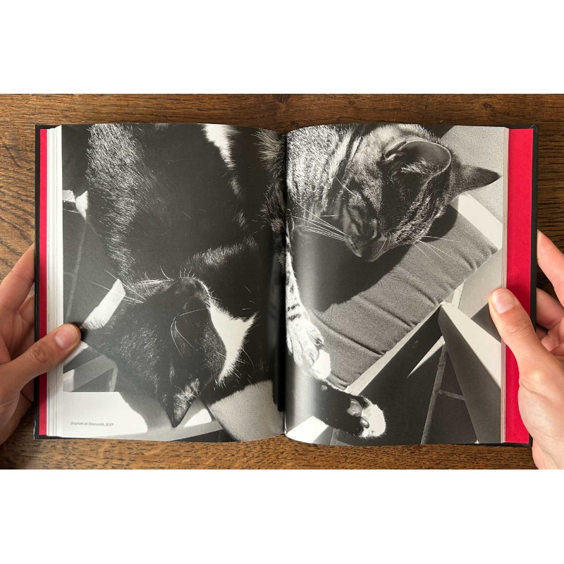 Photomatous, photographies Pierre-Jean Amar, textes et dessins Xavier Mauduit