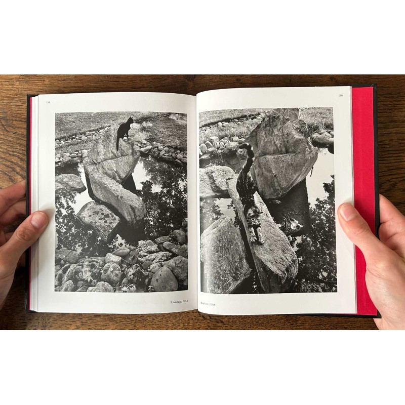 Photomatous, photographies Pierre-Jean Amar, textes et dessins Xavier Mauduit